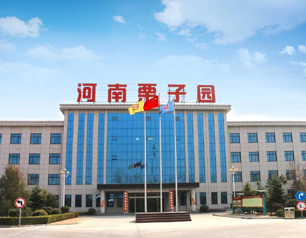 公司簡介 公司簡介